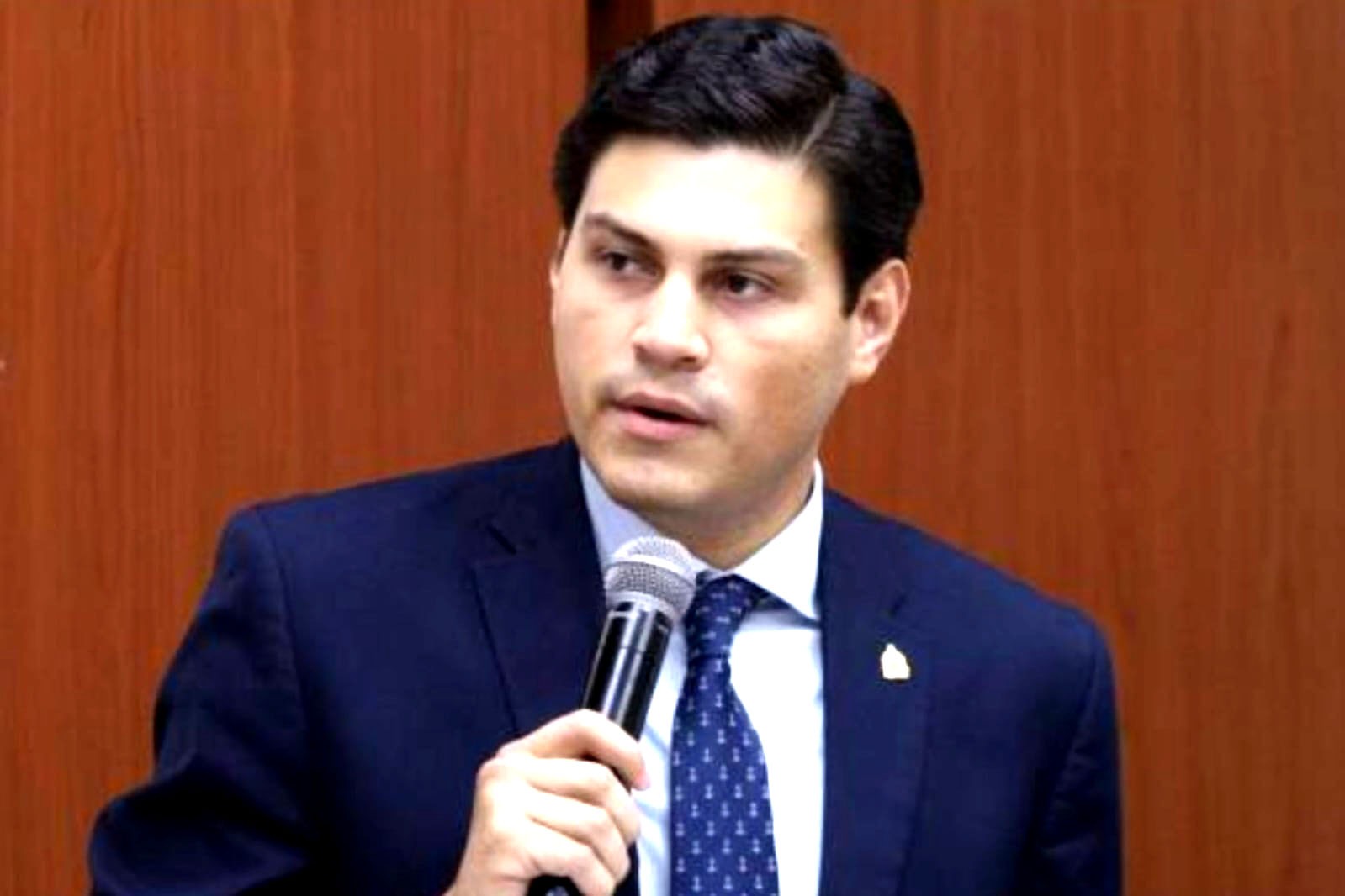 Marlon Ochoa expone ante la OEA audios que revelan un plan contra las elecciones y exige respeto a la soberanía hondureña