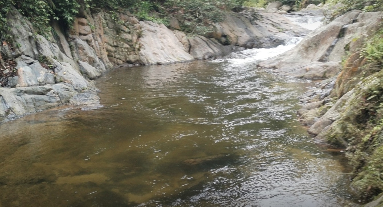 ICF certifica la Reserva Natural Privada “Río Frío” en Santa Bárbara para proteger bosques y nacimientos de agua