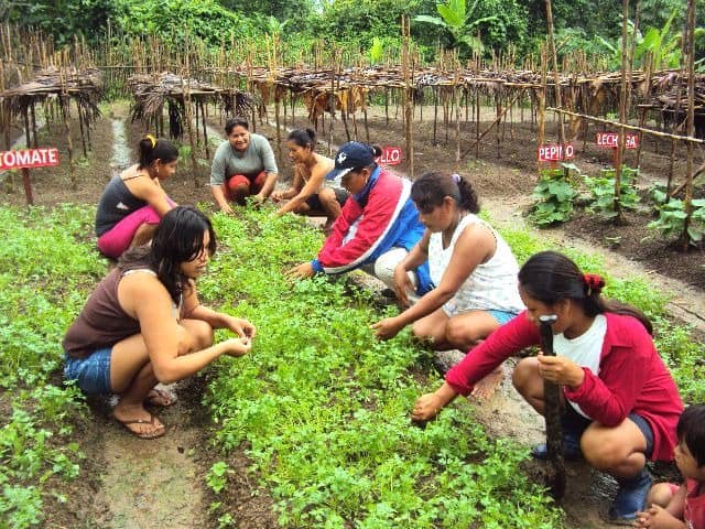 CAMPESINAS HONDUREÑAS CONMEMORAN SU 23 ANIVERSARIO