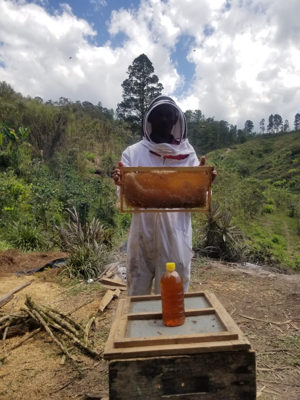 Inicia cosecha de miel en Copán