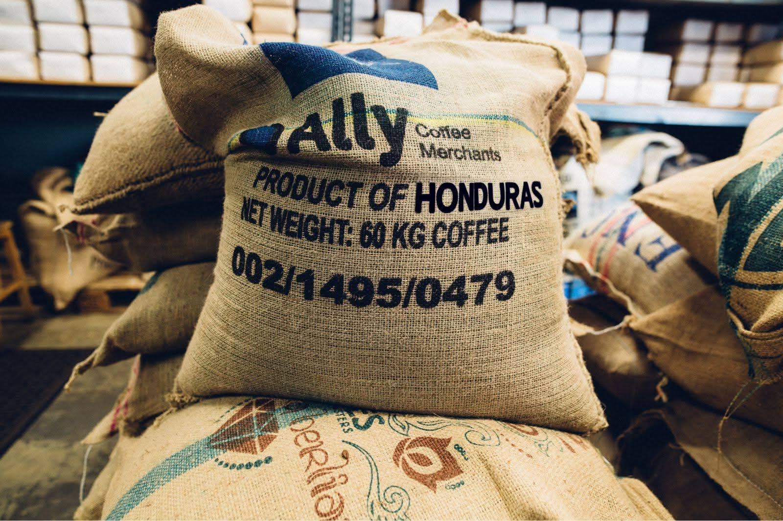 Café hondureño mantiene competitividad en EE. UU. ante eliminación del 10% de arancel