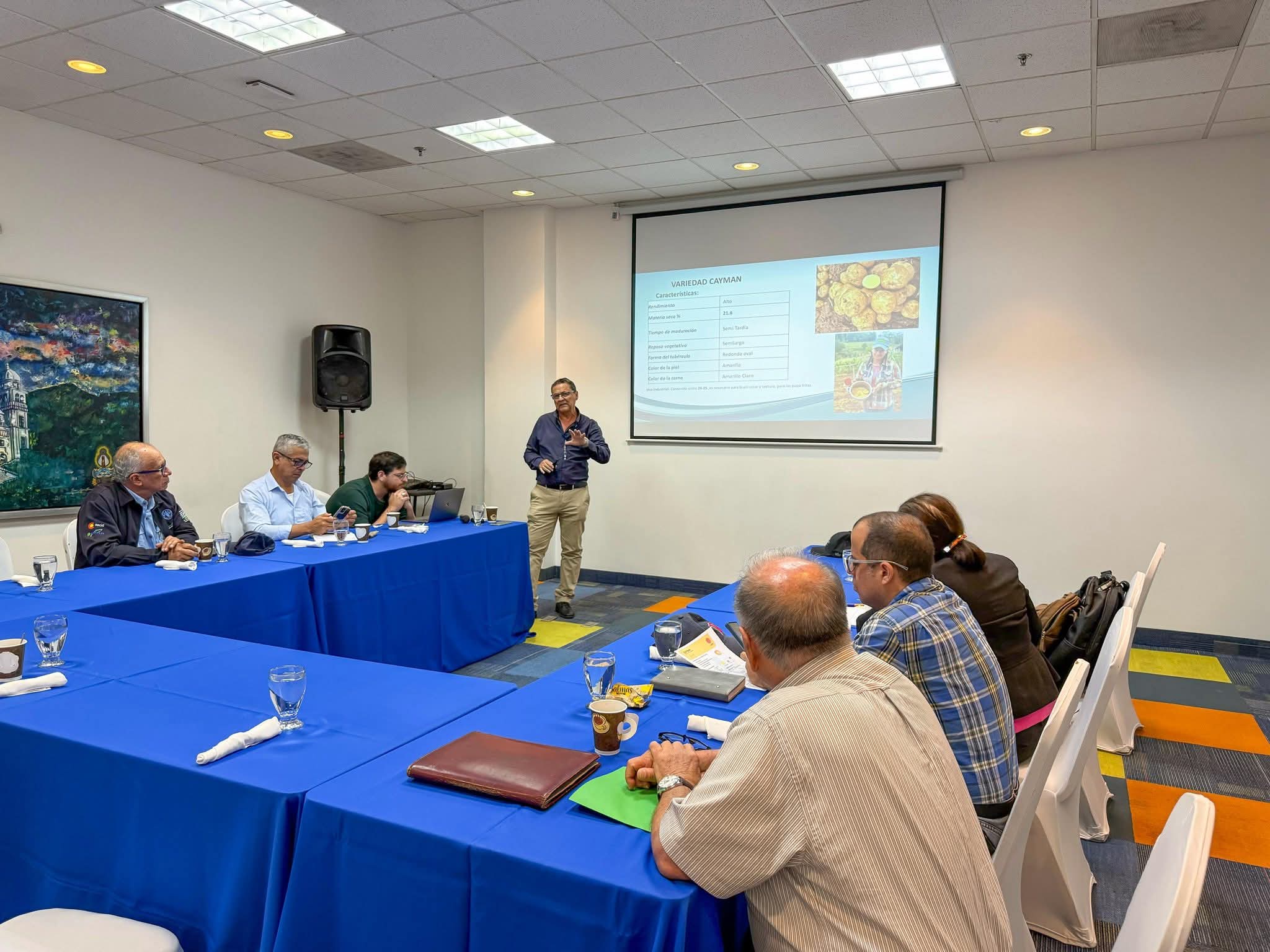 SAG-DICTA avanza el proceso de liberación de nuevas variedades de papa para productores hondureños