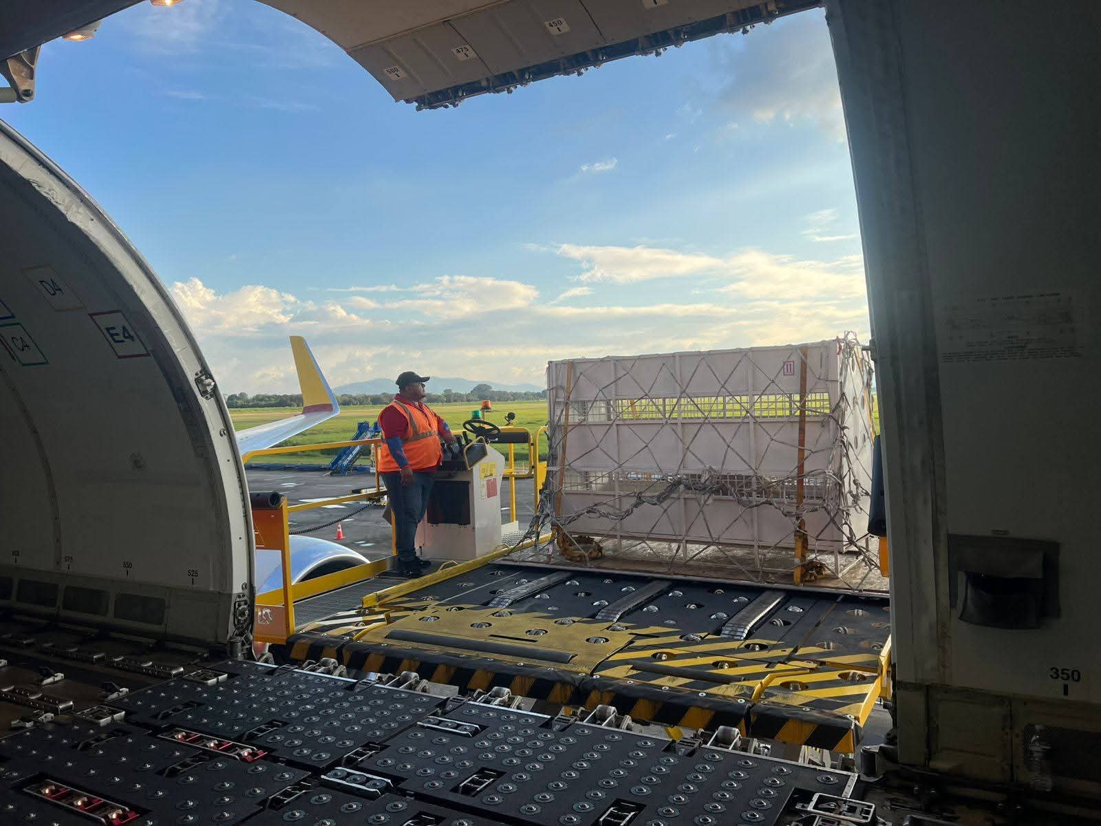 Honduras marca un hito en protección animal con traslado internacional de felinos