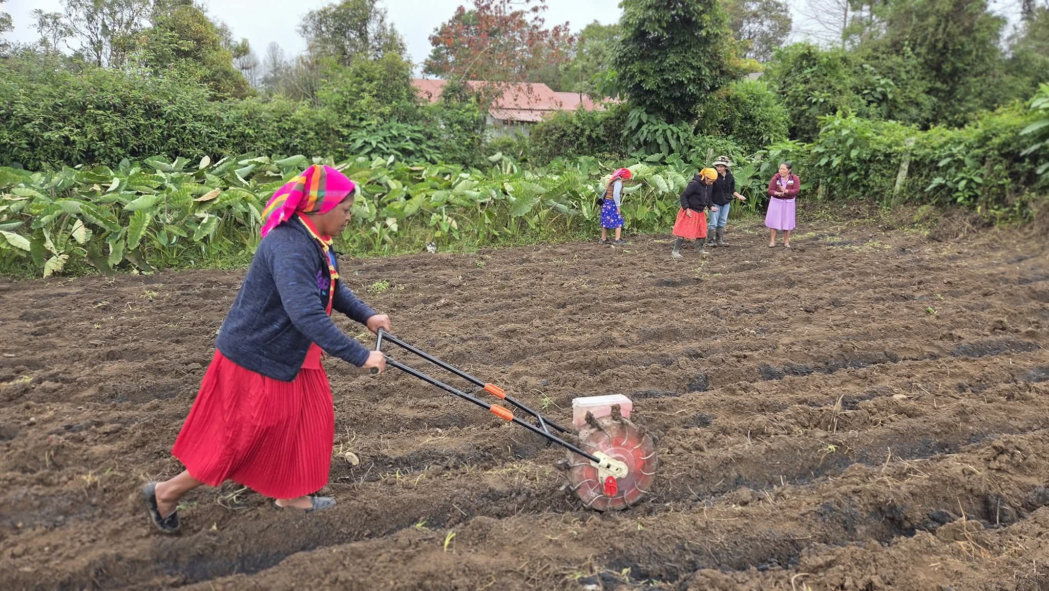 Productoras de Intibucá diversifican y fortalecen su agricultura con innovación agrícola