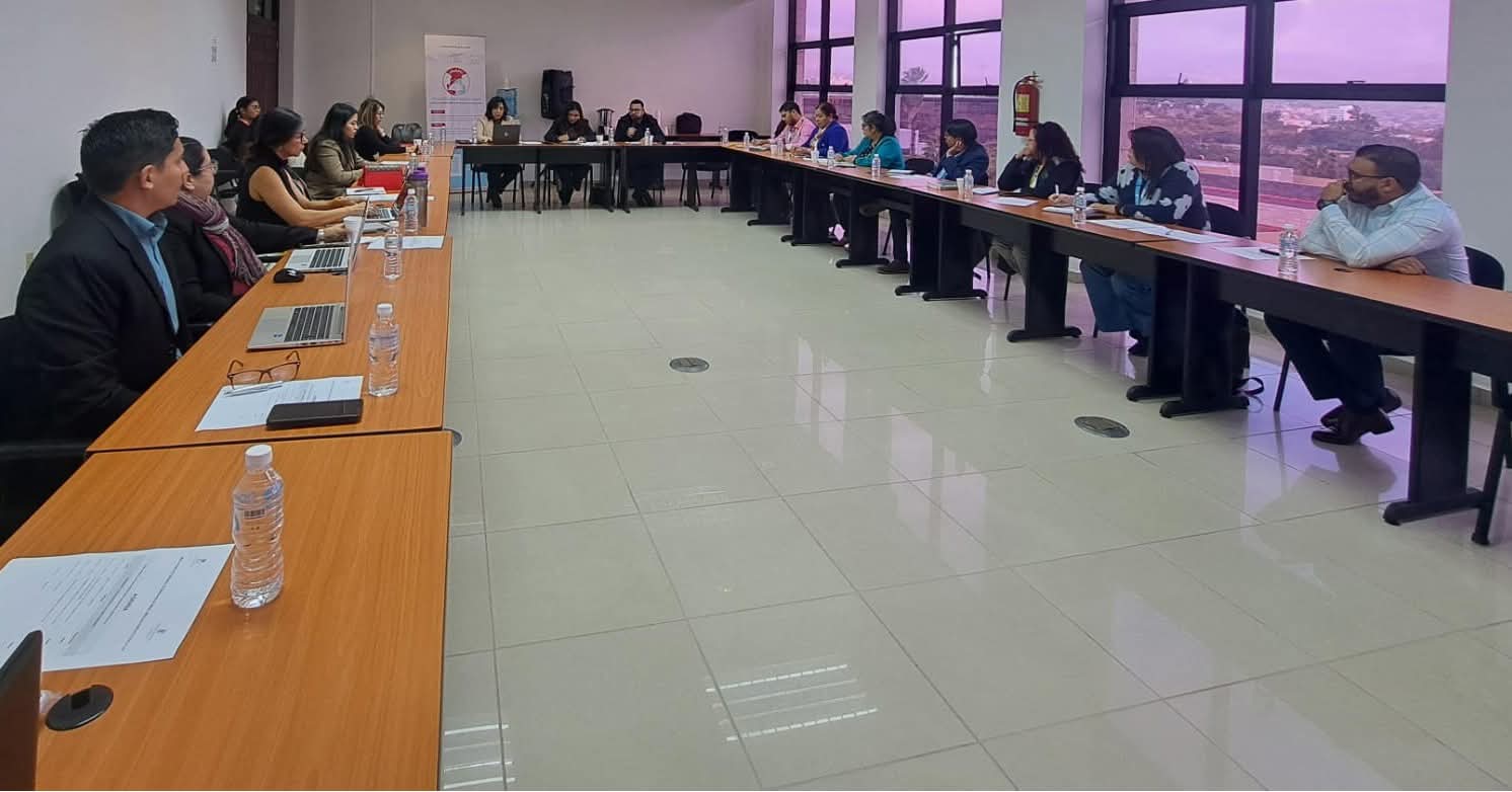 Mesa Técnica de Justicia Juvenil inicia 2026 con análisis de centros de internamiento y refuerzo de acciones de protección