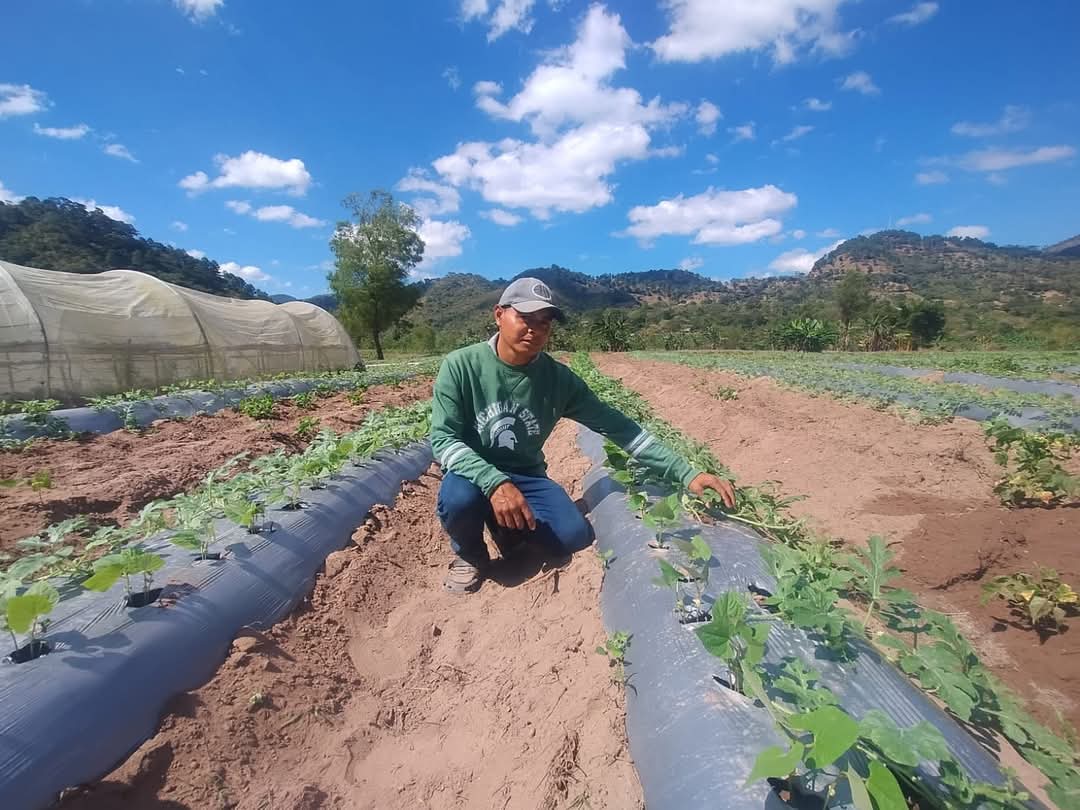 Con asistencia técnica, productores Maya-Chortí mejoran la productividad agrícola