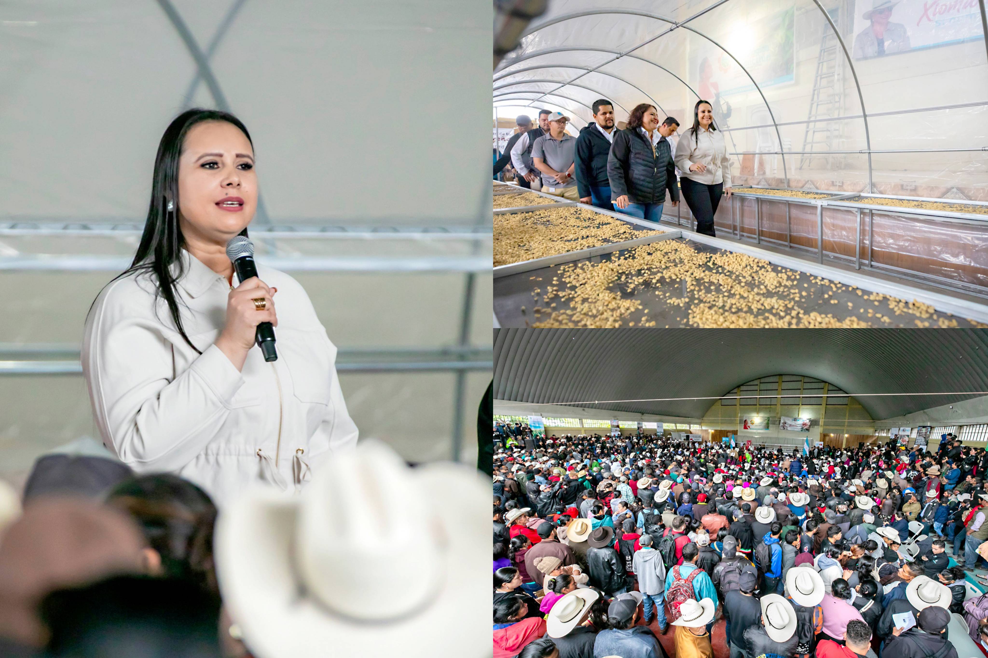 Lepaera, Lempira: Bono Cafetalero, Ganadero y Tecnológico Productivo benefician a más de 3,000 familias rurales