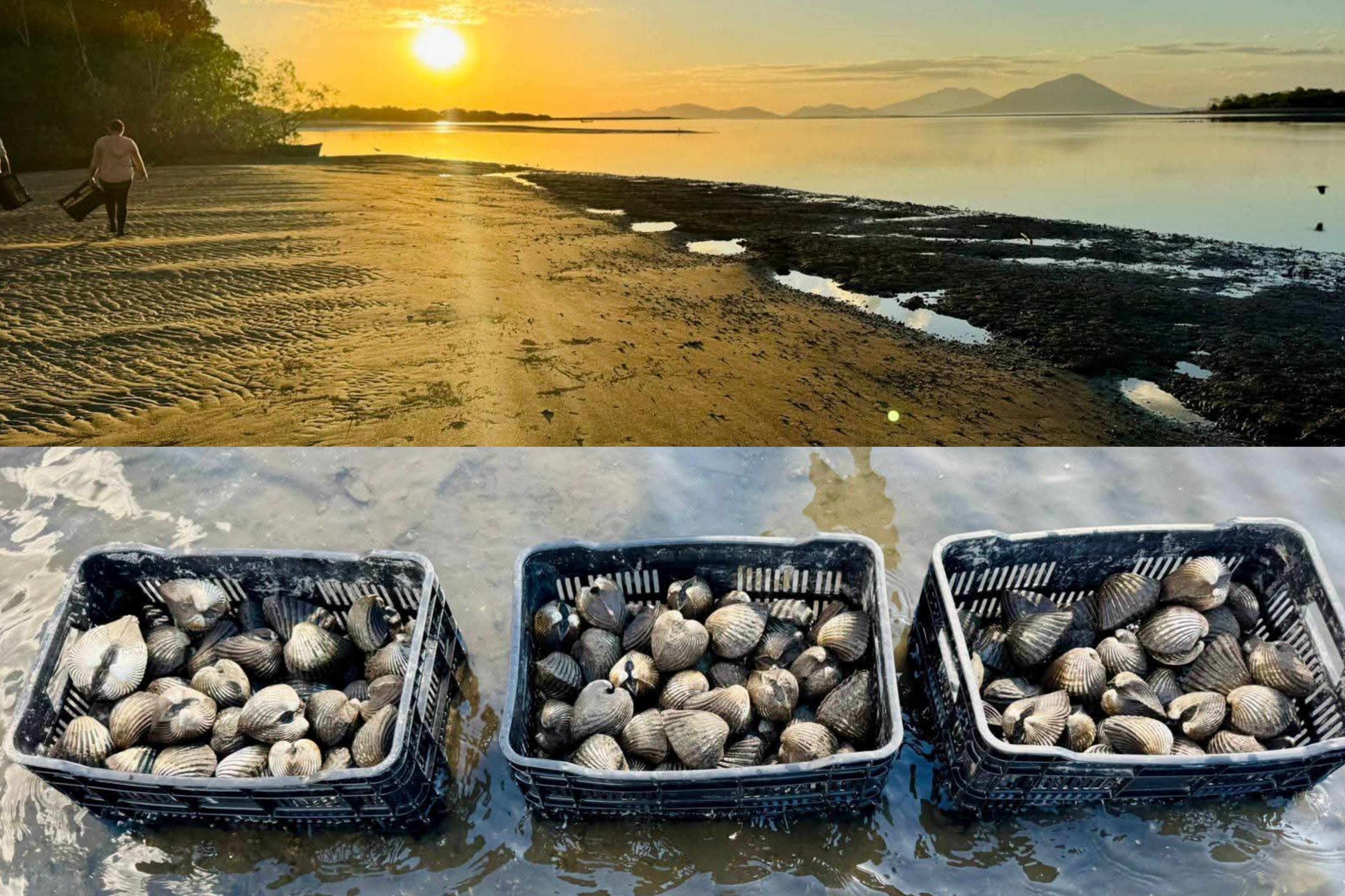 Proyecto regional fortalece conservaci&oacute;n marina en...