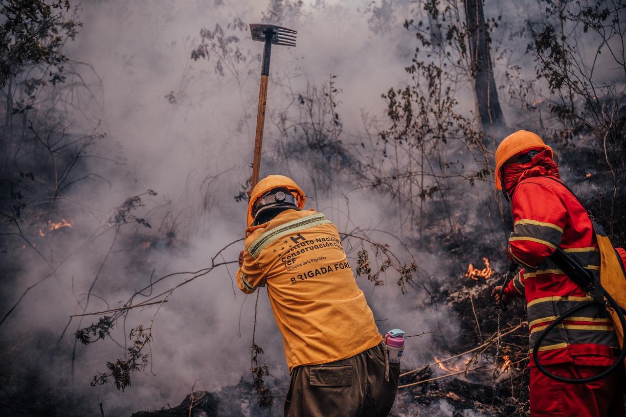 ICF anuncia una disminución del 84% en las áreas afectadas por incendios forestales y una reducción de 2 mil incendios en 2025