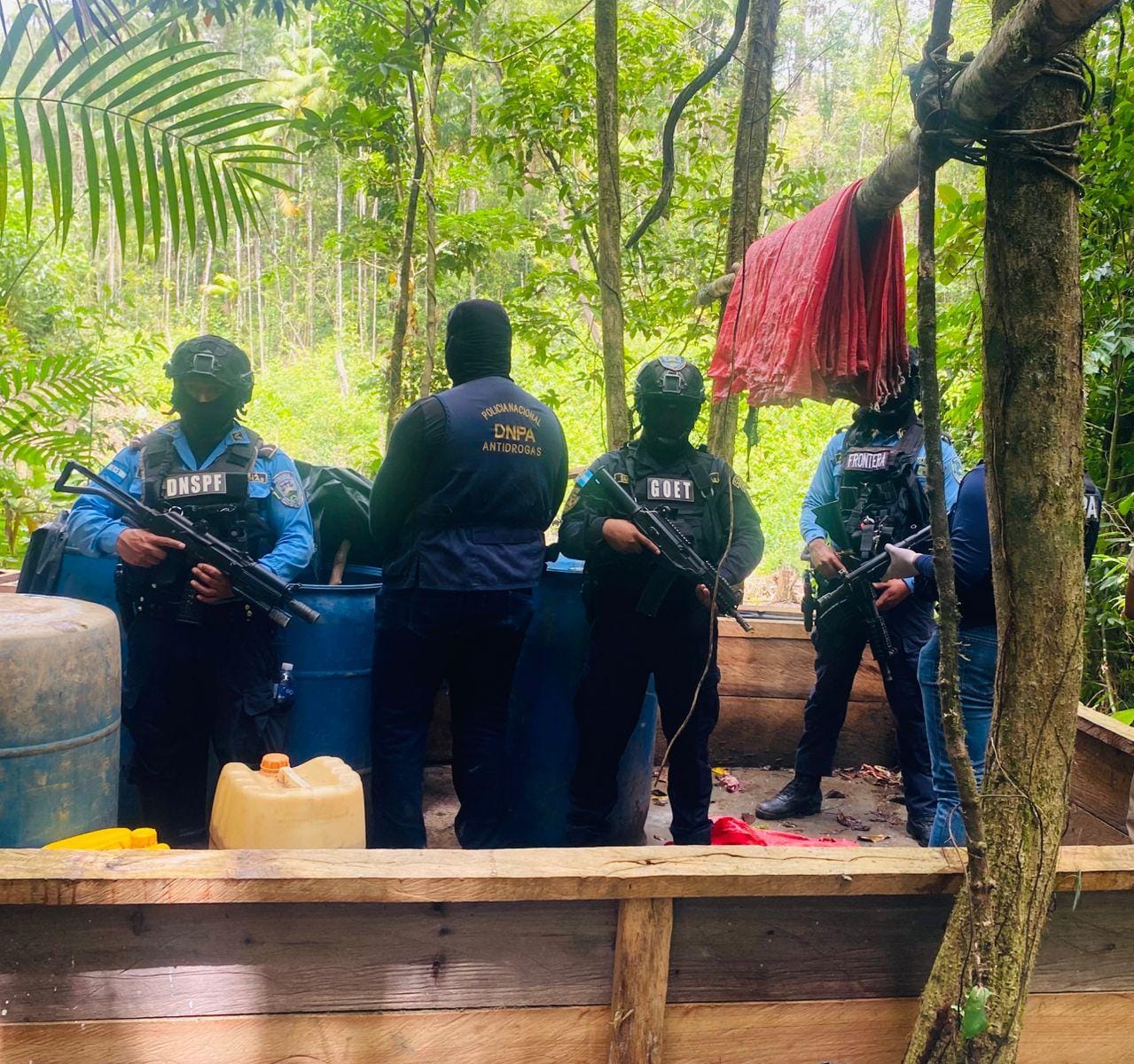 DNPA localiza plantación con 56 mil arbustos de supuesta coca y laboratorio rústico en Olancho
