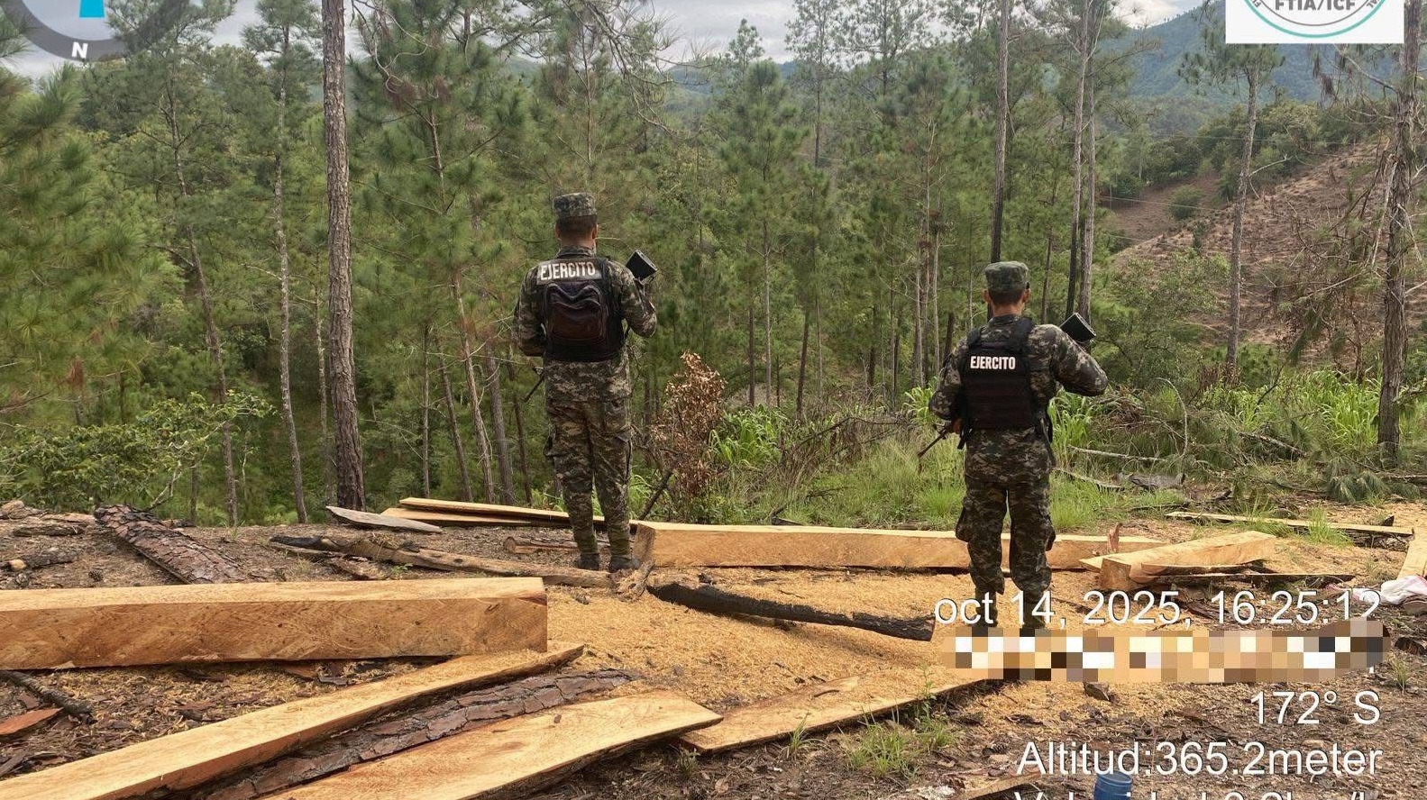 ICF ejecuta acción inmediata contra la tala ilegal en Olancho...