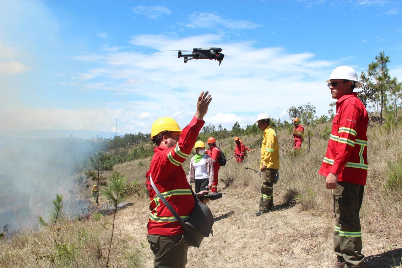 Gobierno intensifica acciones contra la deforestación y logra reducirla en más de un millón de hectáreas