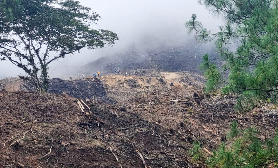 Inspección interinstitucional verifica daños ambientales por quema, tala y apertura de vías en Copán

 