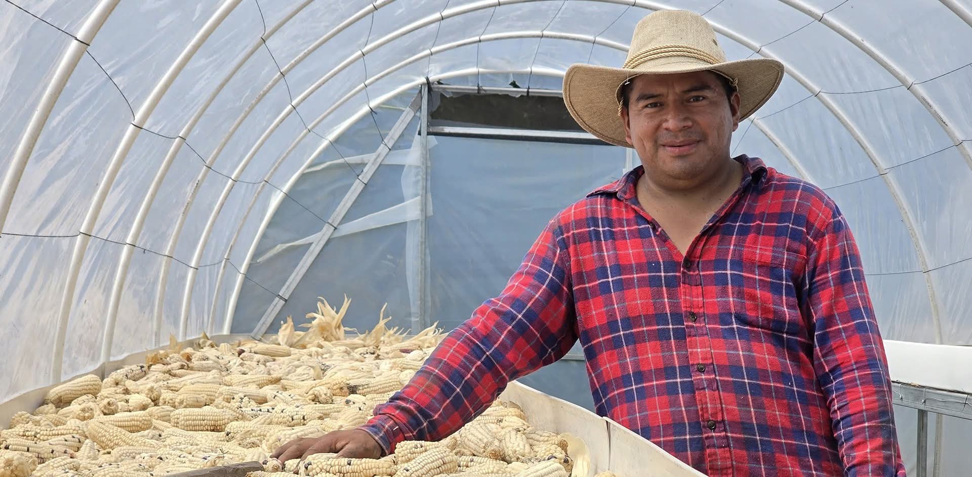 Gobierno entrega 215 secadoras solares para fortalecer el agro hondureño