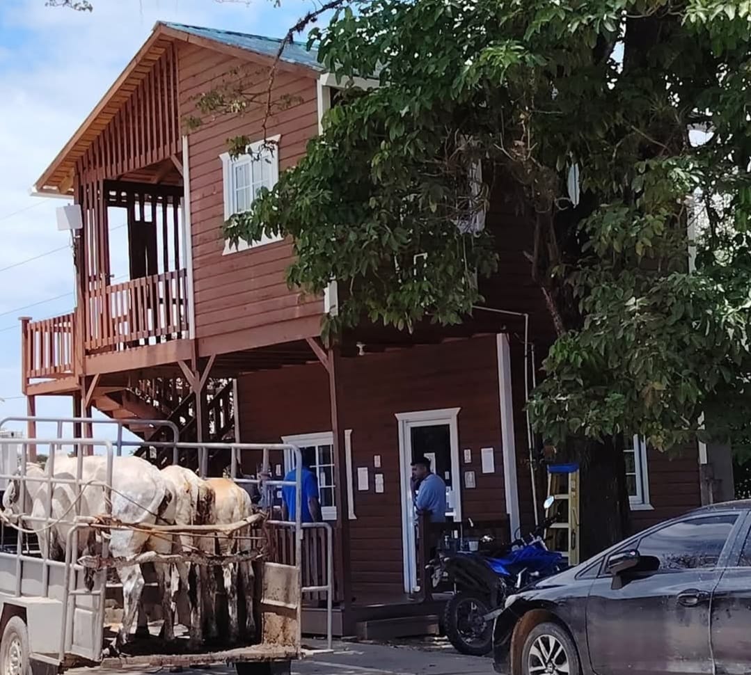 SENASA desarrolló estrategia integral para combatir el Gusano Barrenador del Ganado en Honduras...