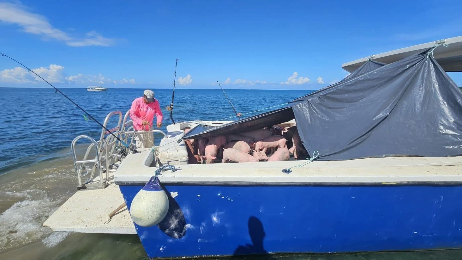 Gobierno de Xiomara Castro entrega Bono Ganadero en Zona Insular