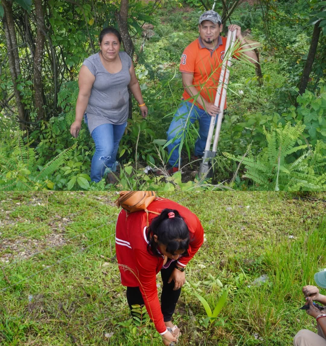 Guardianes del Patrimonio: Reforestan el Futuro de Copán