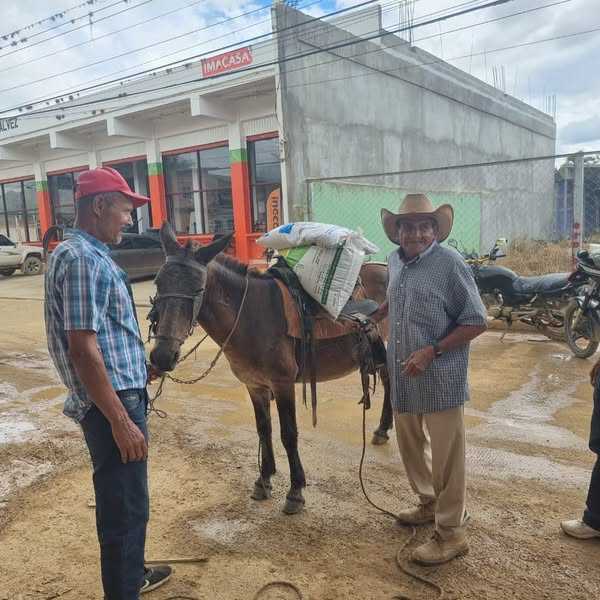 Familias de Francisco Morazán, beneficiadas con entrega de Bono Tecnológico
