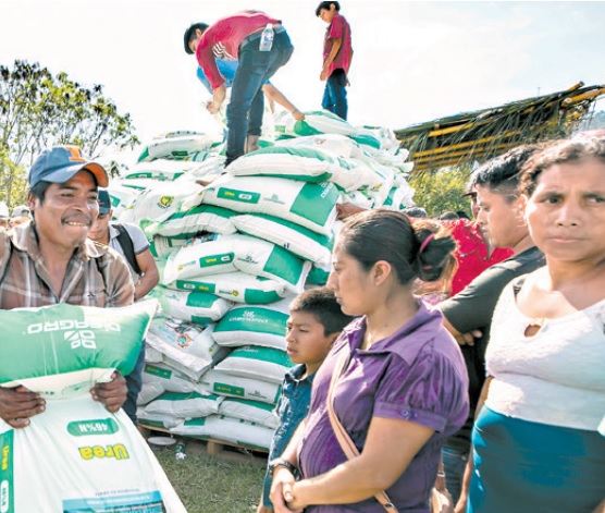 Gobierno destinó más de L 1,000 millones en la reactivación del sector agropecuario en 2022