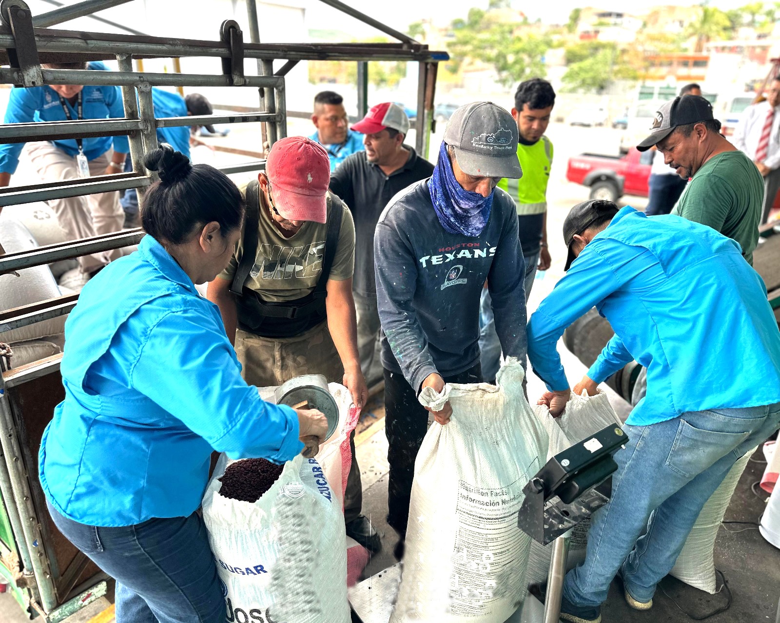 IHMA adquiere 300 quintales de frijol de Mangulile, Olancho, en apoyo al productor nacional.