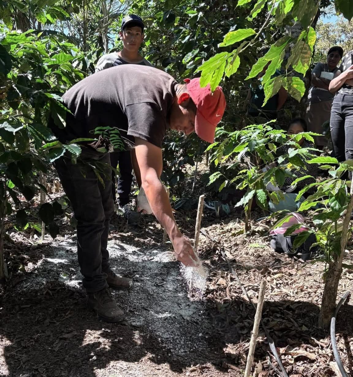 Capacitación “Aprender Haciendo” transforma la producción cafetalera en San Marcos de la Sierra, Intibucá