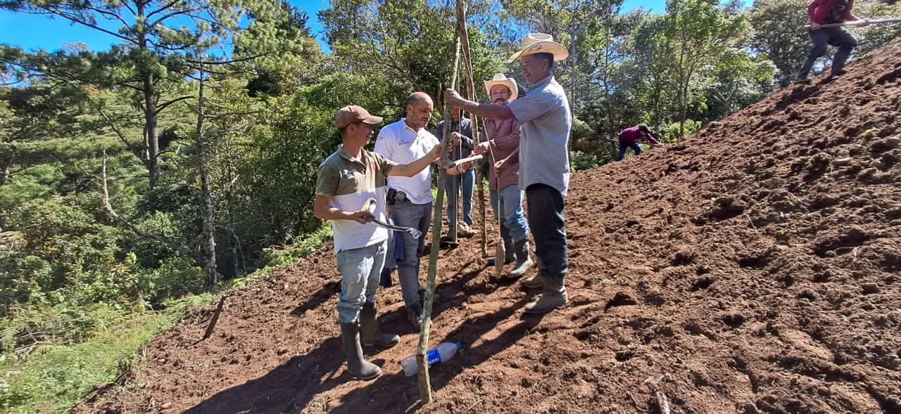 En Buenos Aires, Ocotepeque transforman la agricultura con prácticas agrícolas climáticamente inteligentes