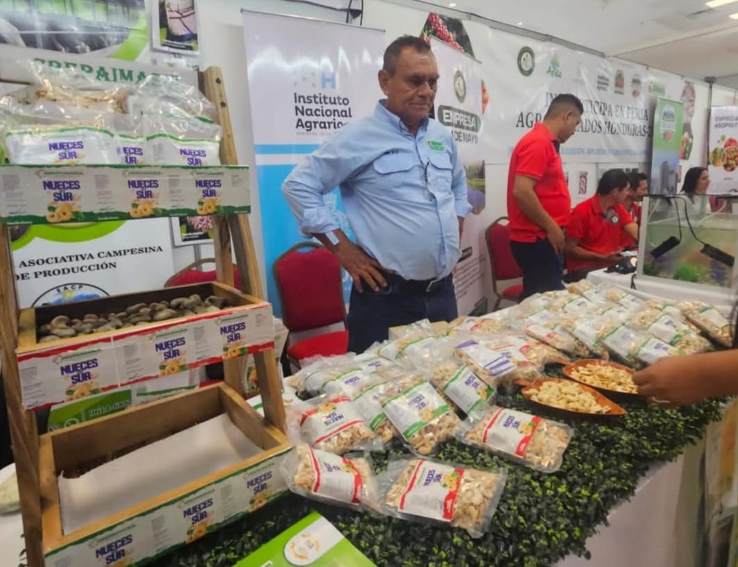 Las manos laboriosas del campesino que siguen alimentando a la nación