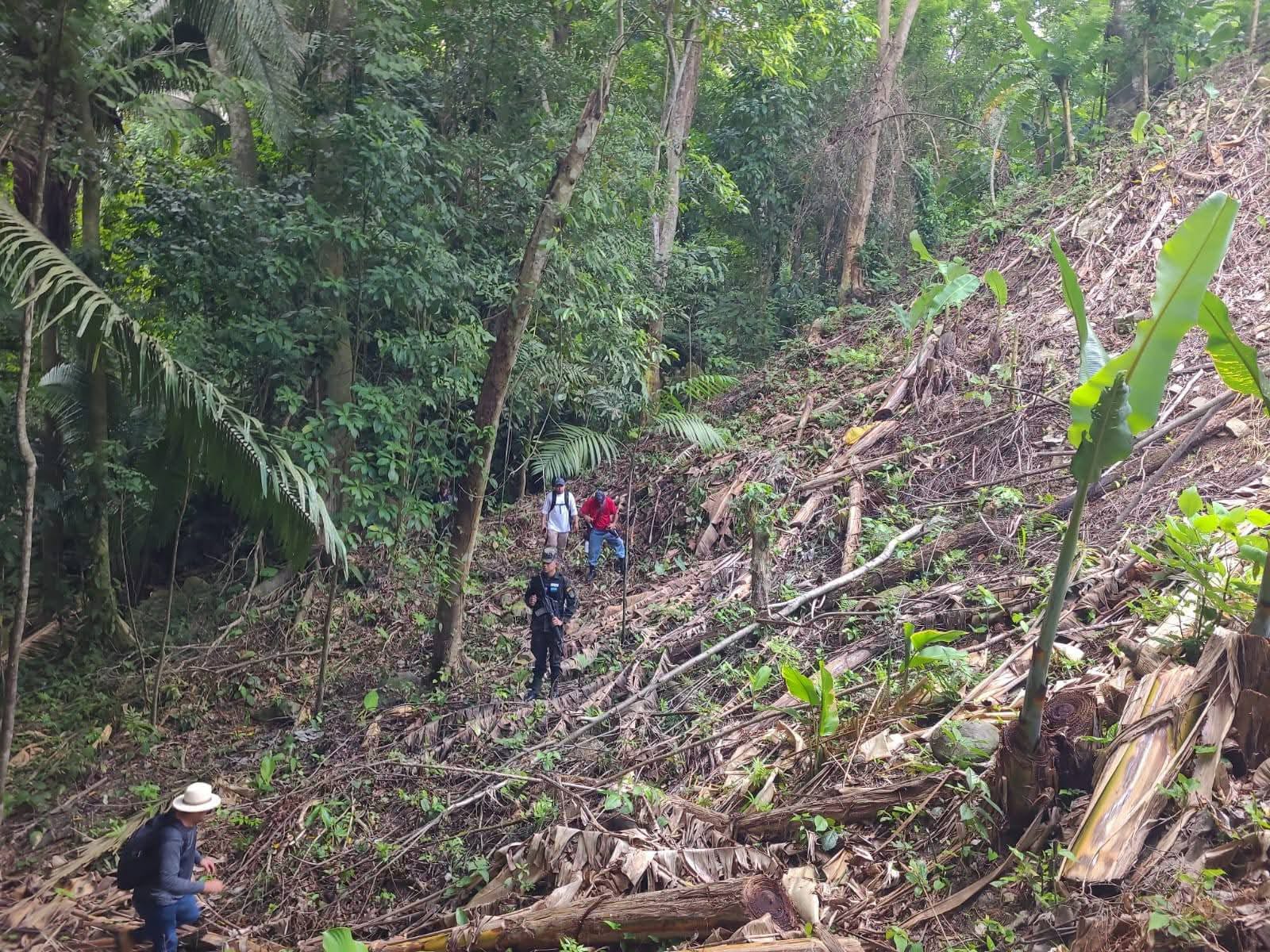 ICF a través de la FTIA denuncia descombro en microcuenca La Quebradoba, Atlántida