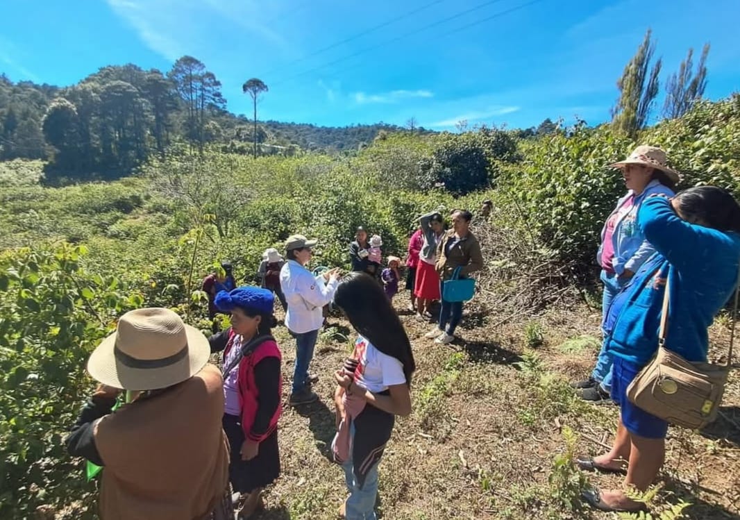 SAG_ProOccidente brindamos asistencia técnica que incorpora el cuidado del ambiente y la equidad de género en cada acción