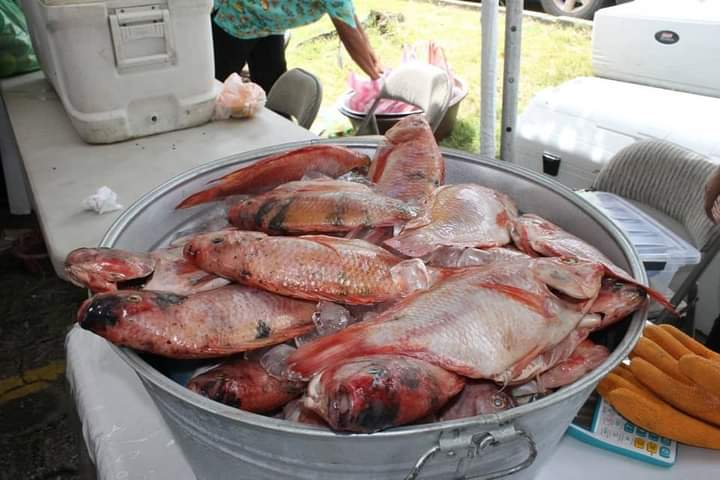 Previo a la Semana Santa
Productos acuícolas y del mar en la FeriSAG Mariscos 2023