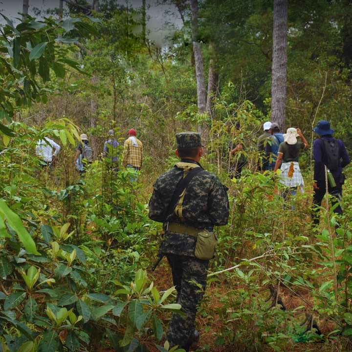 ICF y Fuerzas Armadas despliegan patrullajes en la Biosfera del Río Plátano
