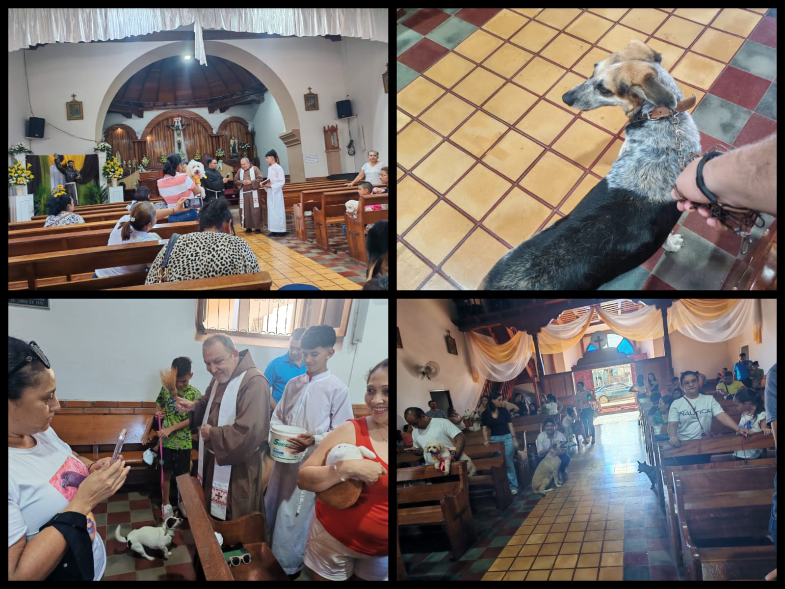 Fiesta Franciscana de La bendición de mascotas en Catacamas