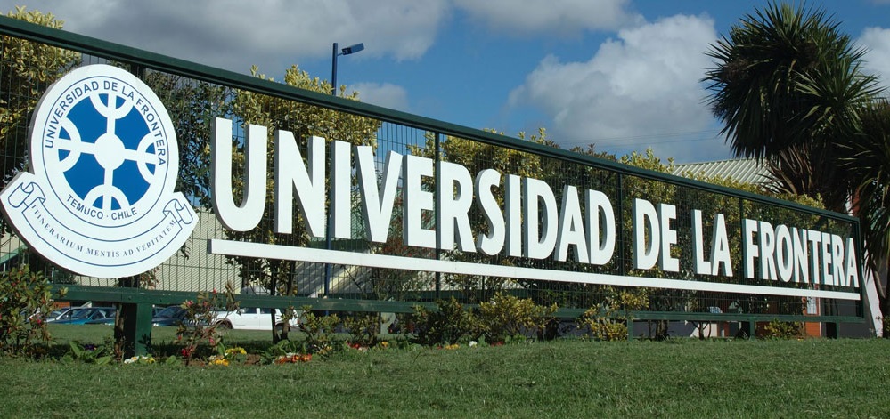 Académicas de la Universidad de La Frontera promueven el uso de un videojuego para enseñar química