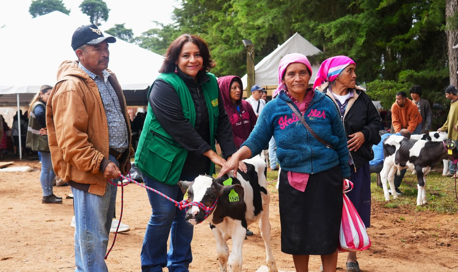 SAG fortalece el mejoramiento genético bovino con la dotación de terneros a productores de Intibucá
